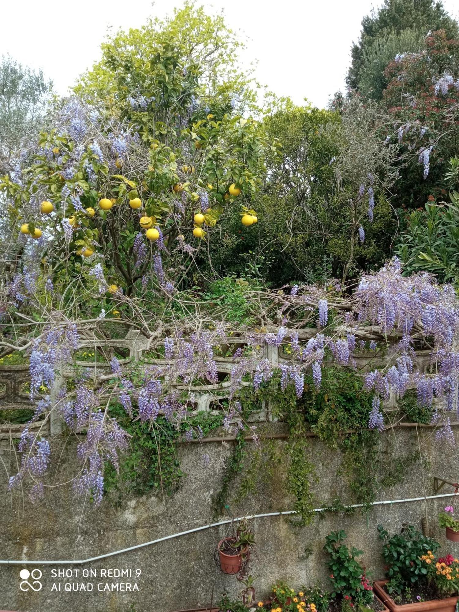 Belvedere Di Caiazzo מראה חיצוני תמונה